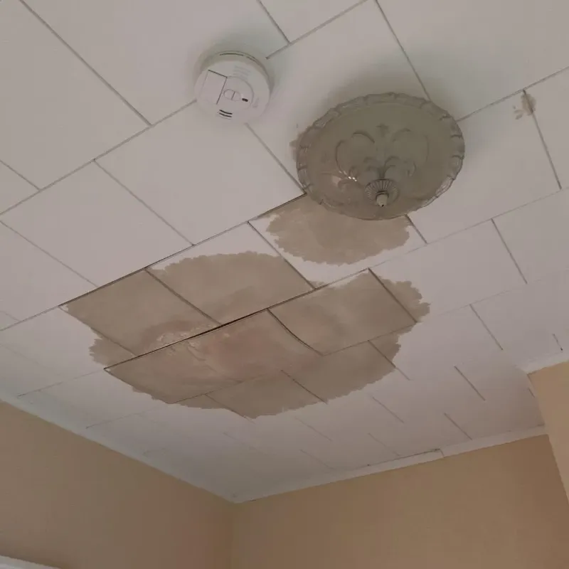 Ceiling Water Damage Repair in Brockton, MA